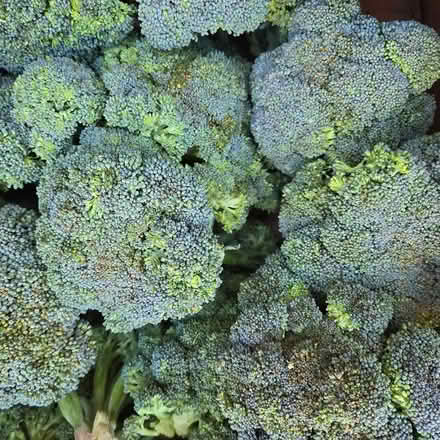 Photo of free Strawberries & Broccoli (Mountain View) #2