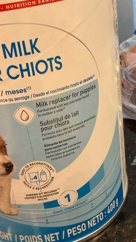 Photo of free babydog milk | royal canin (ST5 5JA) #2