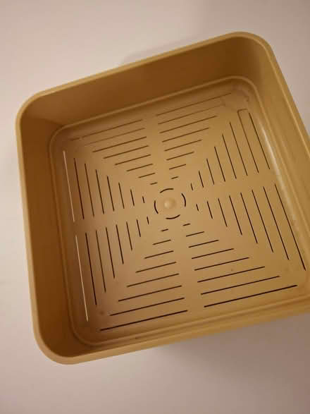 Photo of free Sprouter (Osney OX2) #3