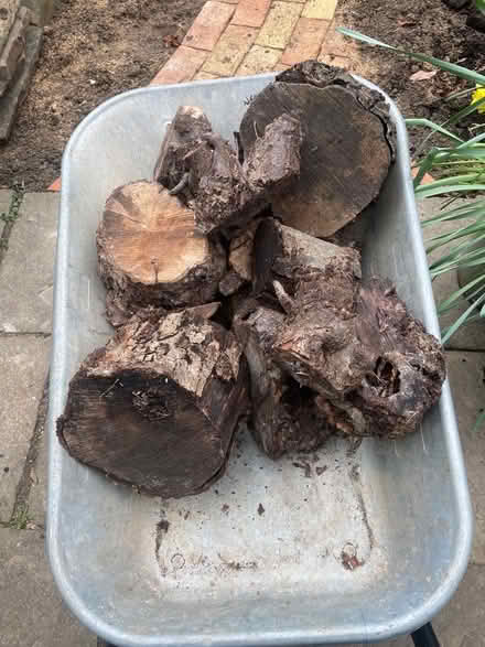 Photo of free FIrewood (Summertown OX2) #1