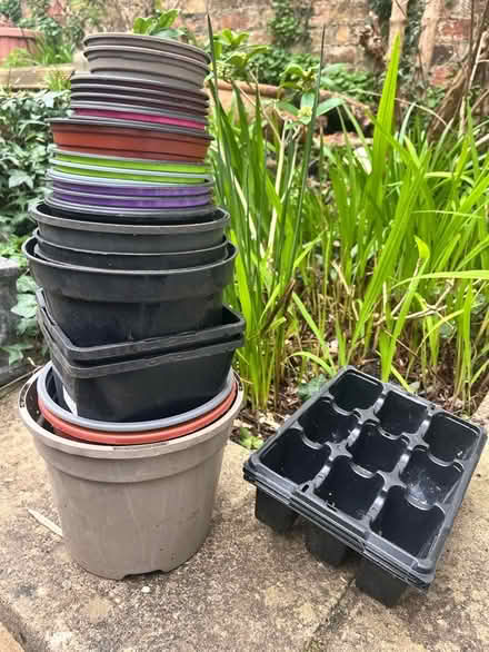 Photo of free Plant pots & seed trays (Tivoli GL50) #1