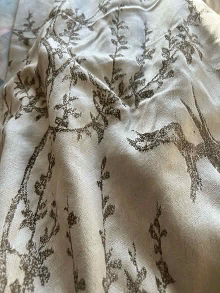 Photo of free Pair of grey lined curtains and tie backs (Moorside M28) #1