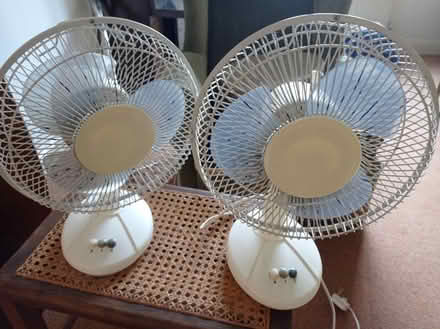 Photo of free 2 Fans (Petersfield) #1