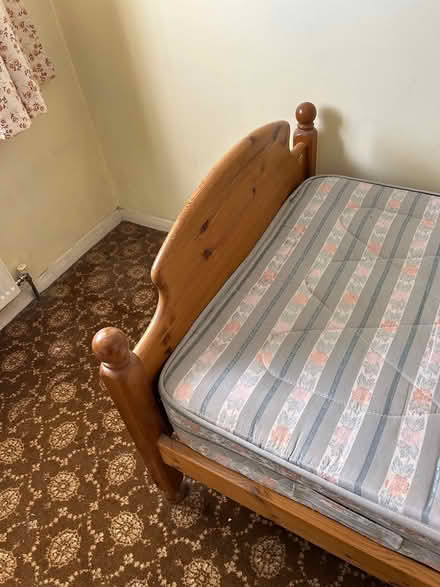 Photo of free Single bed (Stanwell Village TW19) #4