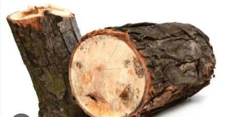 Photo of Logs (The Scotlands WV11) #1