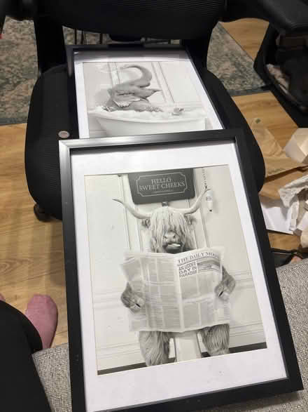 Photo of free Funny bathroom prints (North shields NE30) #1