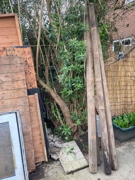 Photo of free 8” x 8” SHED already Dismantled (Glastonbury BA6) #3