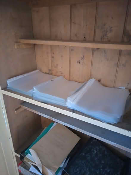 Photo of free A4 plastic file sleeved (East Lavant PO19) #1