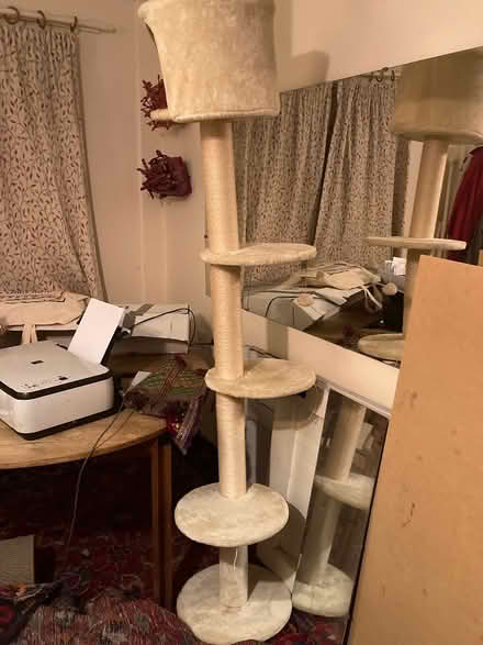 Photo of free Floor to ceiling cat tree (Glastonbury BA6) #2