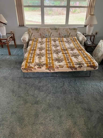 Photo of free Pull out sleeper sofa (White City, Fort Pierce, FL) #2