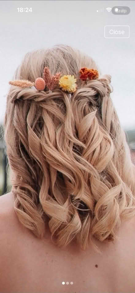 Photo of free Dried flower clips (North shields NE30) #1