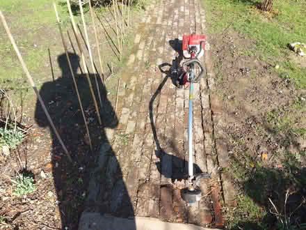 Photo of free Petrol strimmer (Lodge Wood TN22) #1