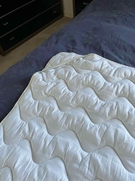 Photo of free King-size mattress protector (Pilton EH5) #1