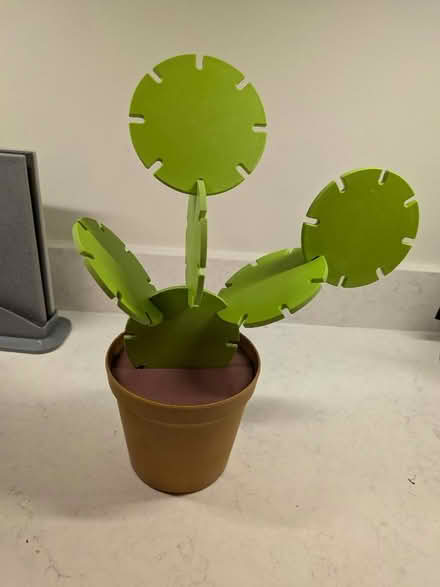 Photo of free Cactus coaster set (Springfield CM1) #1