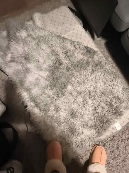 Photo of free Grey Carpet (Dublin 06) #1