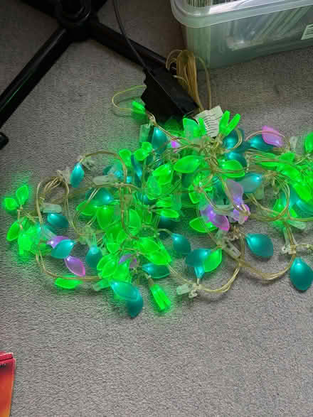 Photo of free Outdoor garden lights (Ealing W13) #4