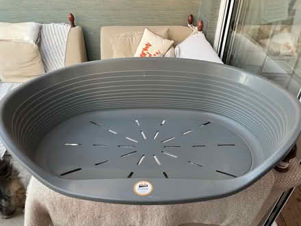 Photo of free Large plastic dog bed (Beacontree Heath RM8) #3