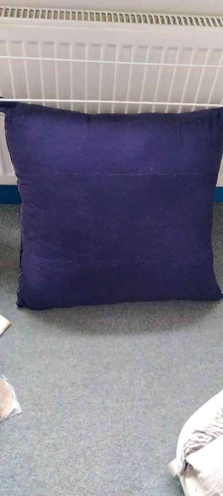 Photo of free Bouncy cushion (Kennington OX1) #1