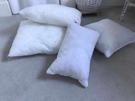 Photo of free Cushion pads (Bath BR1 3QD) #1