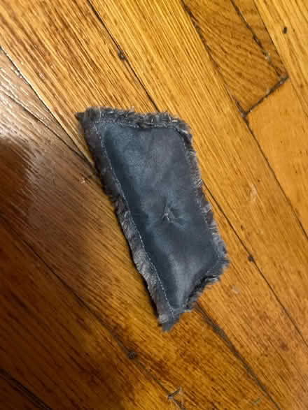 Photo of free Tiny pillow (Winter Hill) #1