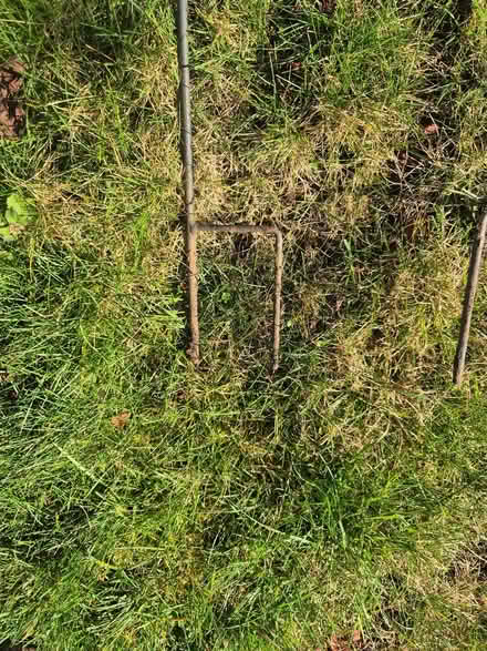 Photo of free Garden Ornaments x3 (Sudbury CO10) #3