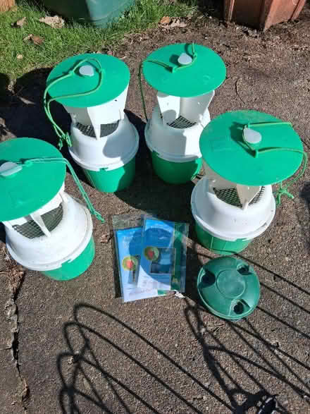 Photo of free Raspberry Beetle Traps (Kingston Park) #2