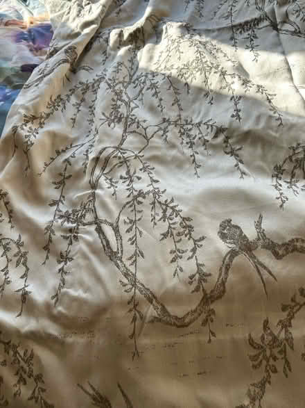 Photo of free Pair of grey lined curtains and tie backs (Moorside M28) #3