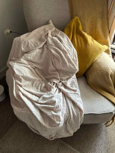 Photo of free Armchair cover (EH25, Roslin) #1