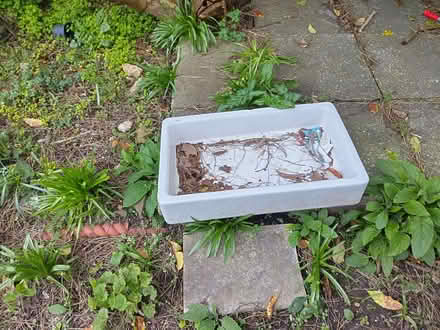 Photo of free Ceramic shallow sinks (East Lavant PO19) #1