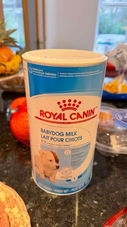 Photo of free babydog milk | royal canin (ST5 5JA) #1