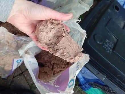 Photo of free Sacks of ?clay (Eastbourne BN22) #2