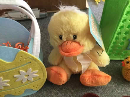 Photo of free Easter chicks pack (Eye) #2