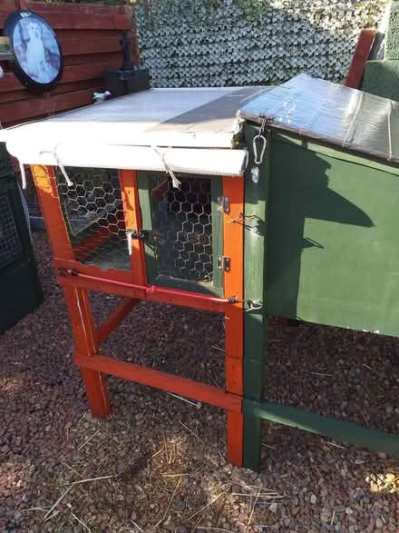 Photo of free Rabbit/Guinea Pig Hutch & Run (Stirling FK7) #1