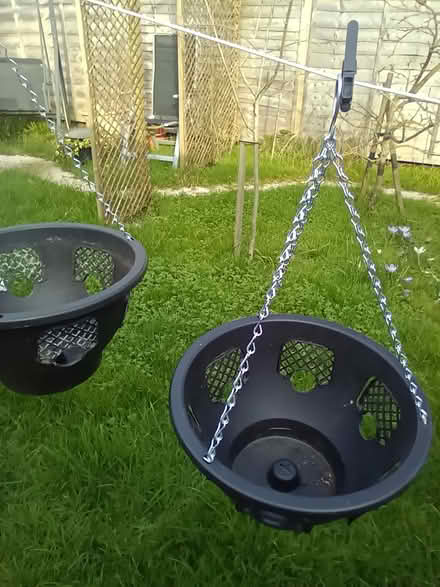 Photo of free 2 hanging baskets (Burgess Hill near Lidl) #1