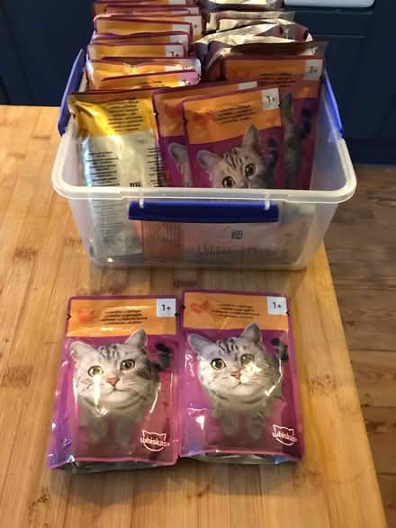 Photo of free Cat food (Law DD3) #1