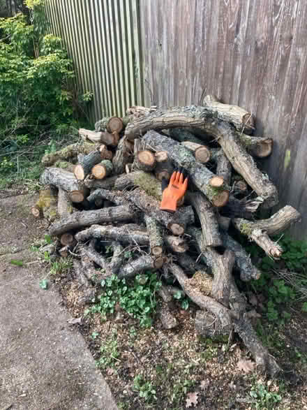 Photo of free Logs (Rusper RH5) #1