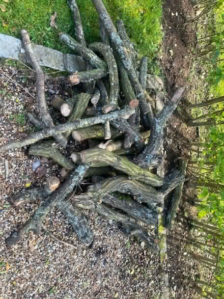 Photo of free Firewood logs (Great kingshill) #1