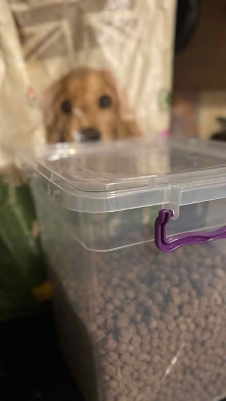 Photo of free Harrington’s & storage box (Cwmafan SA12) #1