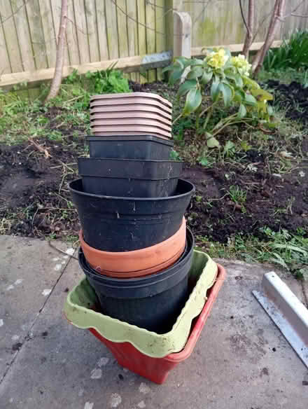 Photo of free Loads of plant pots (Eastbourne BN22) #1