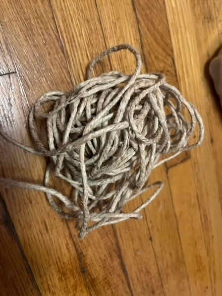 Photo of free Thick hemp (Winter Hill) #1