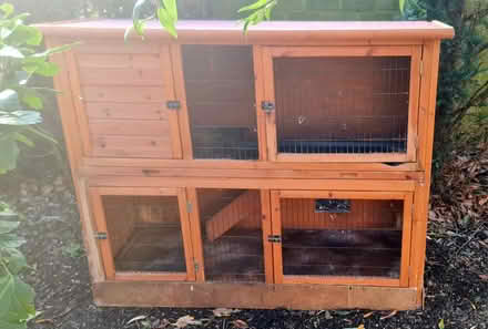 Photo of free rabbits' hutch (Croydon, CR0) #1