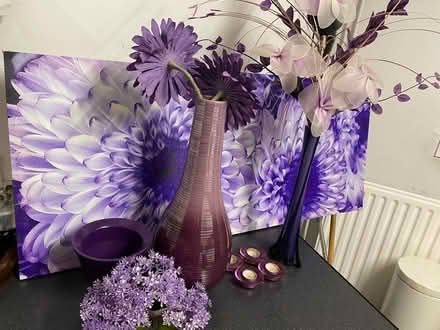 Photo of free Purple ornamental items (Northfield B31) #2