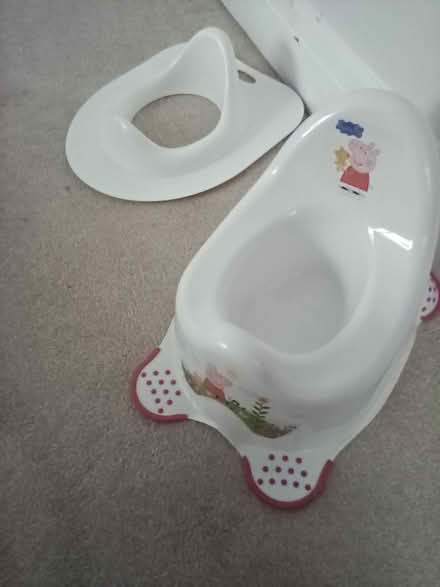 Photo of free Potty and toilet seat (Burgess Hill near Lidl) #1