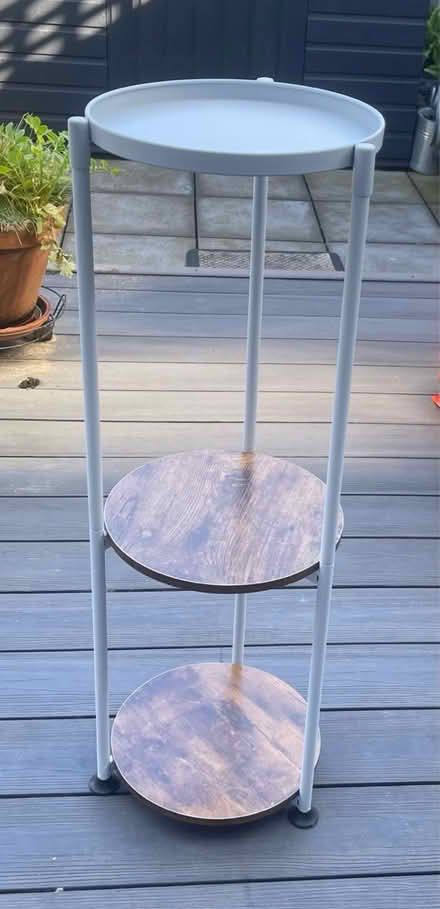 Photo of free Tall plant stand (Claughton) #1