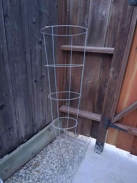 Photo of free Metal Tomato Cage (Snell and Santa Teresa) #1