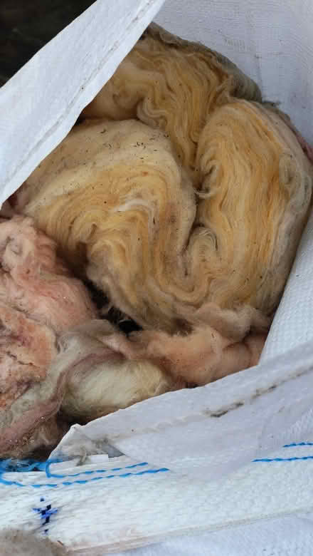 Photo of free Loft insulation (BuryStEds IP33) #2