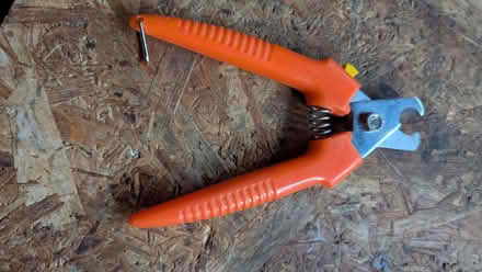 Photo of free Pet nail clippers (Theydon Bois CM16) #2