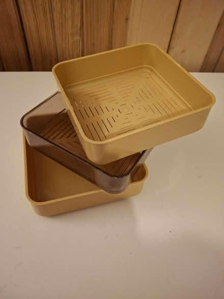 Photo of free Sprouter (Osney OX2) #2