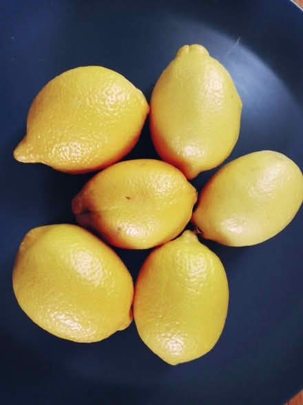 Photo of free Lemons (Oakland) #1