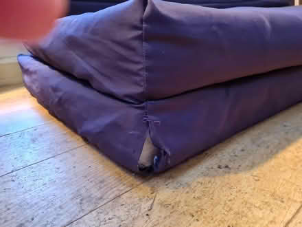 Photo of free Zed bed (Biggleswade) #2